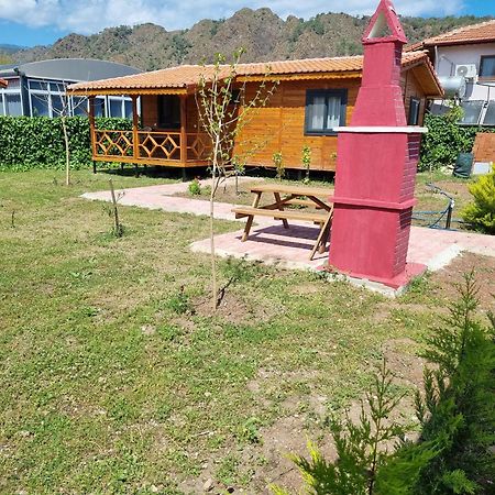 Ugur Pansiyon Bungalows Çıralı エクステリア 写真