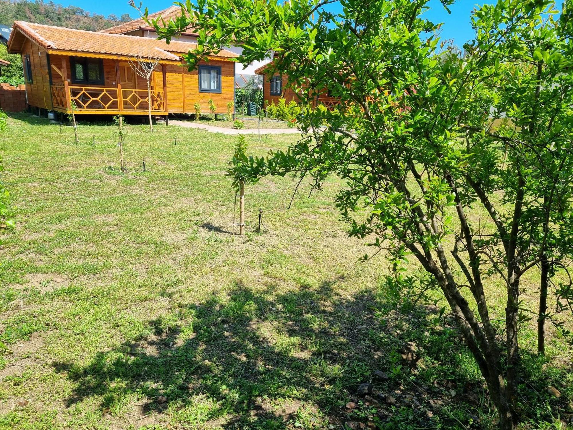 Ugur Pansiyon Bungalows Çıralı エクステリア 写真